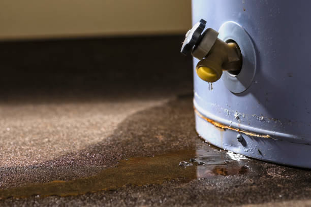 Best Professional water damage repair  in Manton, MI