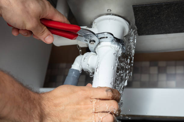 Best Water damage cleanup near me  in Manton, MI