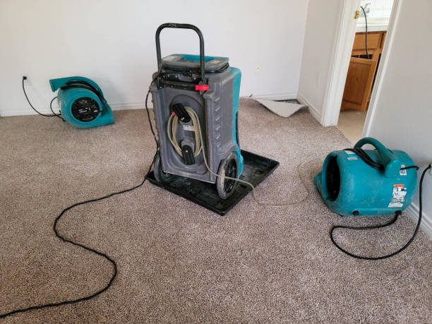 Best 24-hour water damage restoration  in Manton, MI