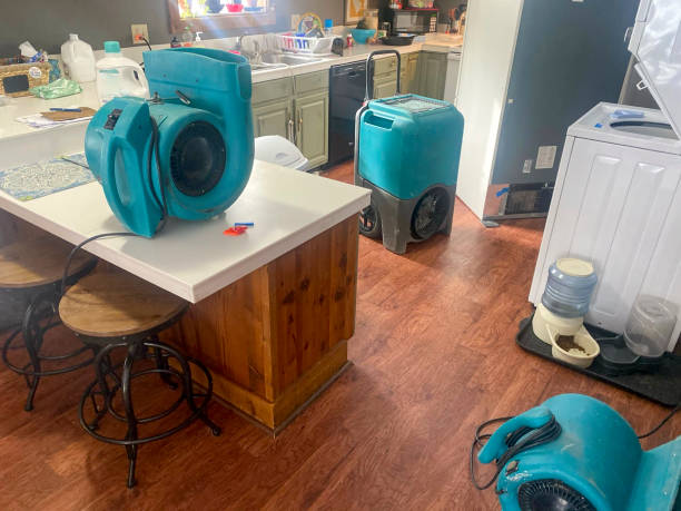 Best Fire Damage Restoration  in Manton, MI