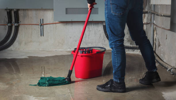 Best Basement water damage restoration  in Manton, MI