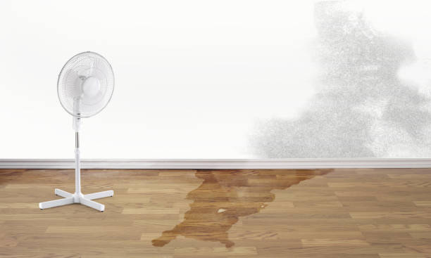 Best Sewage cleanup and water damage restoration  in Manton, MI