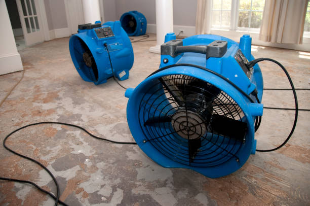 Best Sewage cleanup and water damage restoration  in Manton, MI