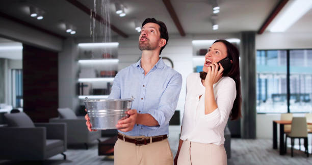 Best Mold removal after water damage  in Manton, MI