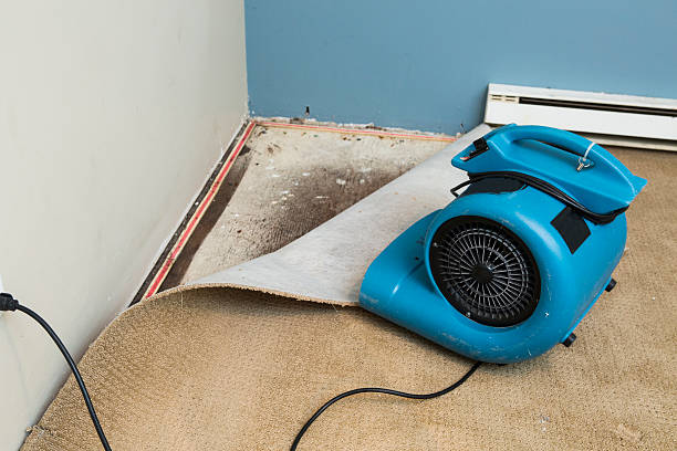 Carpet water damage restoration in Manton, MI